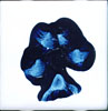 Paw Blossoms Four by Mozart, acrylic paint on set of four 4 in. ceramic tiles