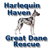 Harlequin Haven Great Dane Rescue